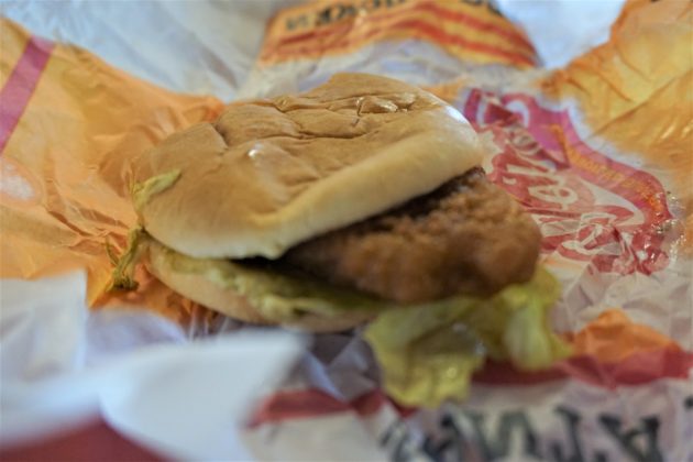 <img src=”Burger.jpg” alt=”アリゾナに行く途中に寄ったカールスジュニアのぺちゃんこバーガー”/>